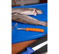 Nůž na ryby v délce 5 cm