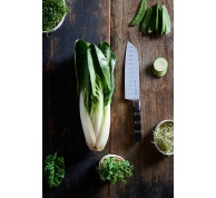 Santoku se speciálním výbrusem ze série 1905 v délce 18 cm