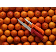 Vykosťovací nůž s úzkou čepelí v délce 10 cm a oranžové barvě rukojeti