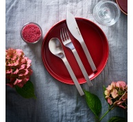 Steaková sada 4 nožů AJAX