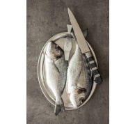 Filetovací nůž ohebný ze série 1905 v délce 18 cm