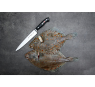 Filetovací nůž Premier Plus ohebný, kovaný v délce 21 cm – POUŽITÝ