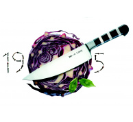 Kuchařský nůž ze série 1905 v délce  15 cm